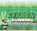 Panda Running